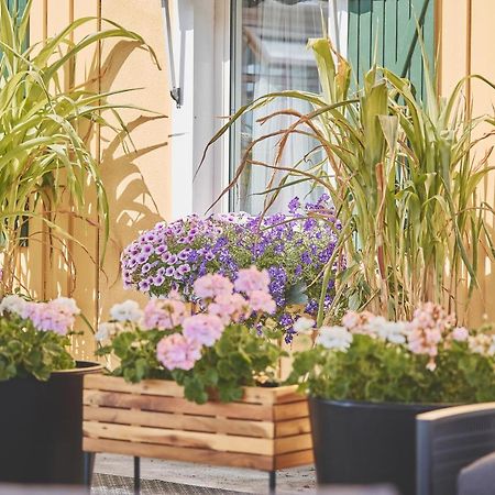 Bjoerkbackens Vandrarhem I Vimmerby Ngoại thất bức ảnh