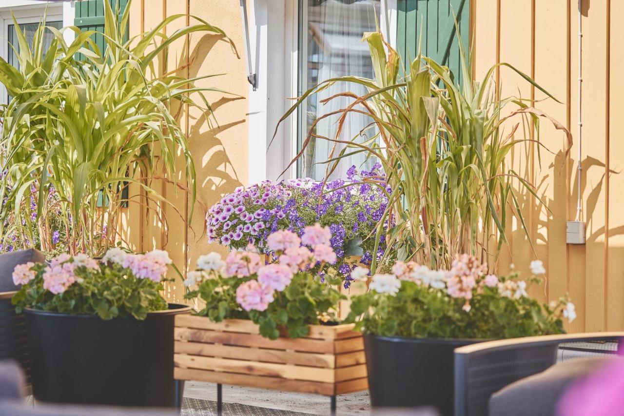 Bjoerkbackens Vandrarhem I Vimmerby Ngoại thất bức ảnh
